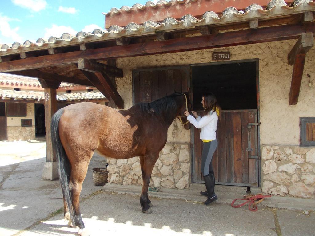 Hotel Los Rastrojos Aranda de Duero Εξωτερικό φωτογραφία