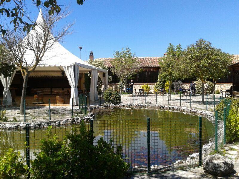 Hotel Los Rastrojos Aranda de Duero Εξωτερικό φωτογραφία